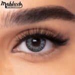 Sterling Gray - Freshlook