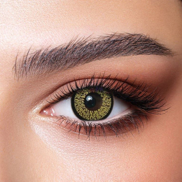 BellaHighlightGold Bella Highlight Gold Contact Lens