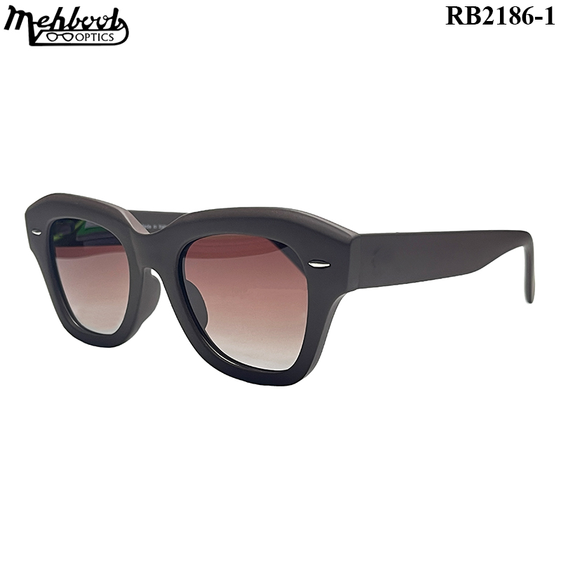 RB2186-1-(4) Polarized Sunglass - Image 4