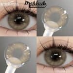 Alaska Brown- Eye Share