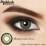 Mushroom Grey- Color Vision